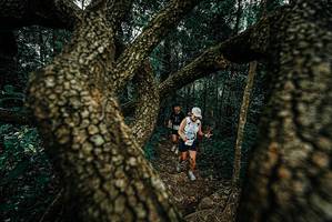 BIB: 
                            <button type="button" onclick="openModal(25696985)" class="btn btn-primary btn-sm float-right btn-popup" data-toggle="modal" data-target=".modal-high-quality">
                        <i class="fas fa-shopping-cart"></i> Add to Cart
                    </button>
                                            <button type="button" onclick="isThisMe(25696985, true)" class="btn btn-success btn-sm float-right btn-popup btn-isme hidden" data-toggle="tooltip" data-placement="bottom" title="นี่คือรูปของคุณใช่ไหม คลิกที่นี่เพื่อเอาเข้าอัลบั้ม">
                        <i class="fas fa-plus"></i> Add to album
                    </button>
                    <button type="button" onclick="isThisMe(25696985, false)" class="btn btn-warning btn-sm float-right btn-popup btn-isnotme hidden">
                        <i class="fas fa-ban"></i> Remove from album
                    </button>